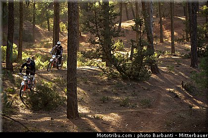 ktm_2012_freeride_350_0039.jpg