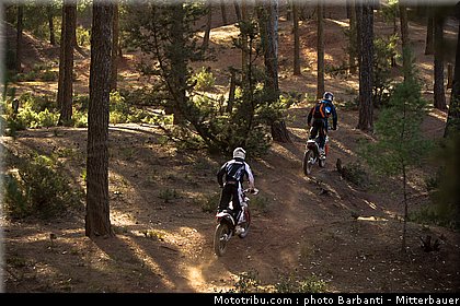ktm_2012_freeride_350_0040.jpg
