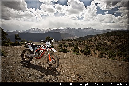 ktm_2012_freeride_350_0053.jpg