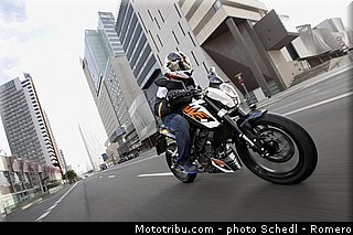 ktm_2013_390_duke_0020.jpg