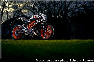 ktm_2013_390_duke_0031.jpg