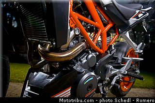ktm_2013_390_duke_0086.jpg
