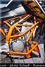 ktm_2013_390_duke_0101.jpg
