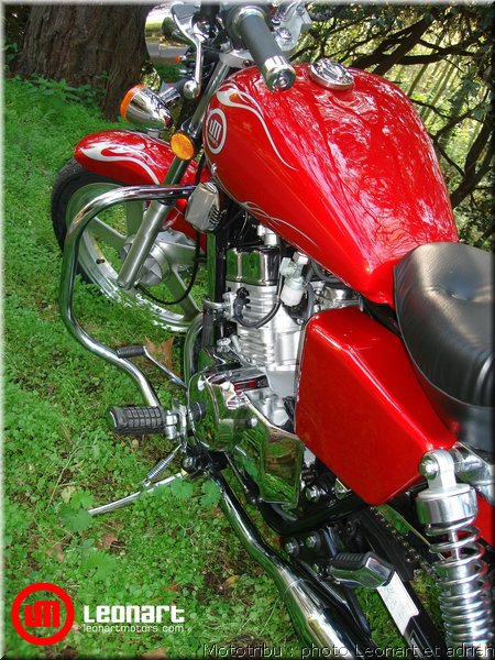 leonart2008_17