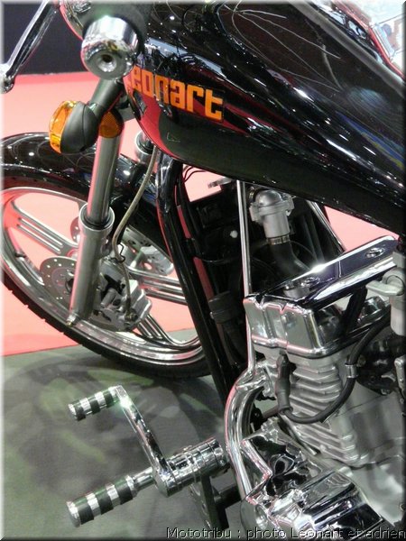leonart2008_19