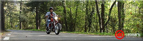 leonart2008_08.jpg