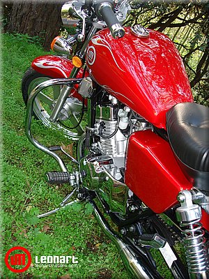 leonart2008_17.jpg