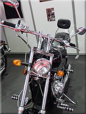 leonart2008_18.JPG