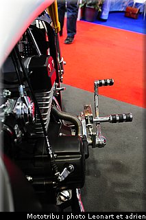 leonart_020.JPG