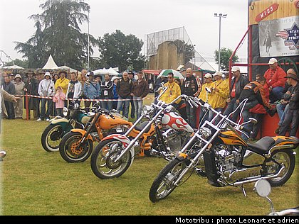 leonart_043.JPG