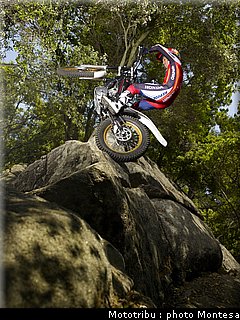 montesa_cota_4rt_2009_006.jpg