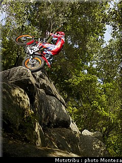 montesa_cota_4rt_2009_007.jpg