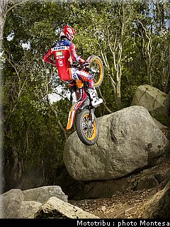 montesa_cota_4rt_2009_008.jpg
