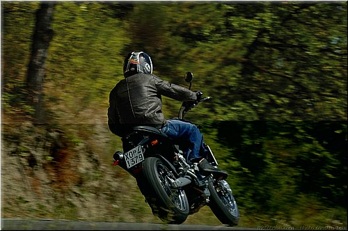 morini-912-2008-017.jpg