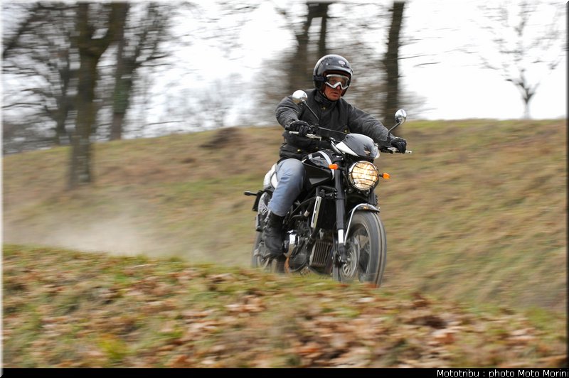 moto_morini_scrambler2009_002