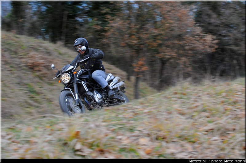 moto_morini_scrambler2009_003