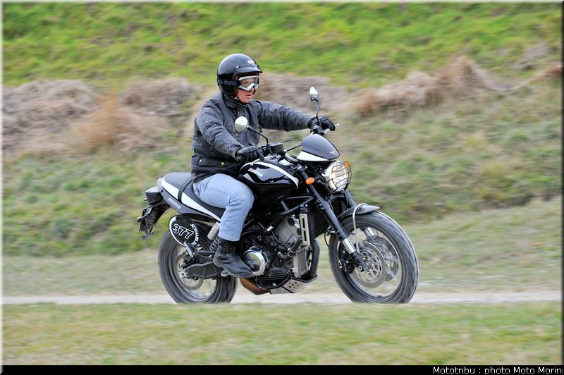 moto_morini_scrambler2009_005