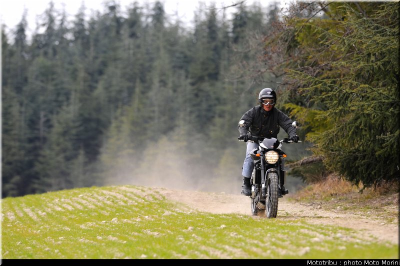 moto_morini_scrambler2009_007