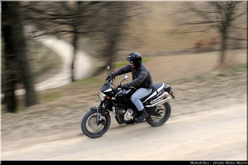moto_morini_scrambler2009_009