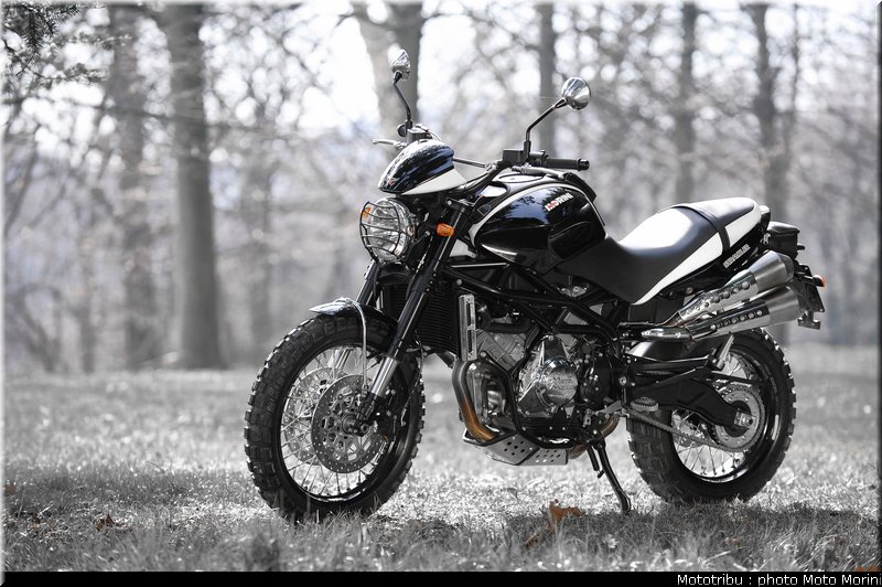 moto_morini_scrambler2009_019