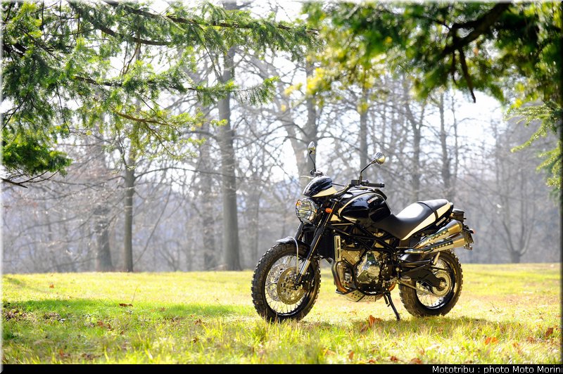 moto_morini_scrambler2009_021