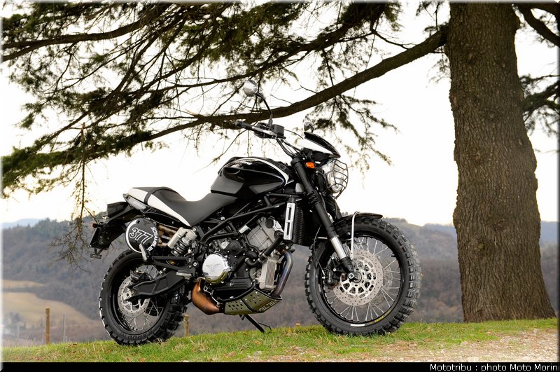 moto_morini_scrambler2009_025