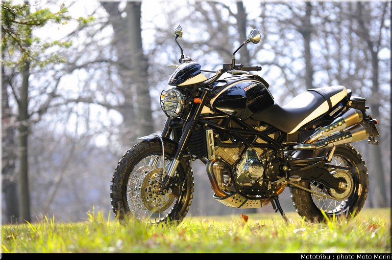moto_morini_scrambler2009_026