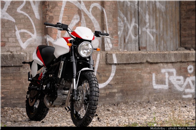 moto_morini_scrambler2009_030