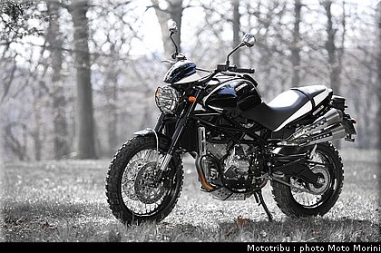moto_morini_scrambler2009_019.jpg