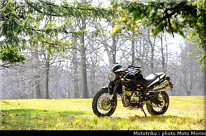 moto_morini_scrambler2009_021.jpg