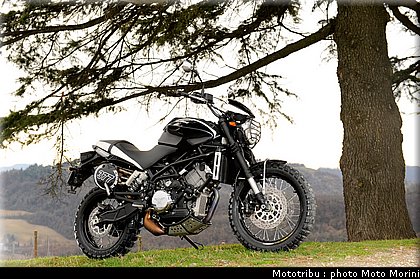 moto_morini_scrambler2009_025.jpg