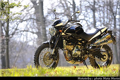 moto_morini_scrambler2009_026.jpg
