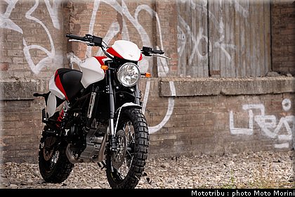 moto_morini_scrambler2009_030.jpg