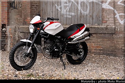 moto_morini_scrambler2009_031.jpg