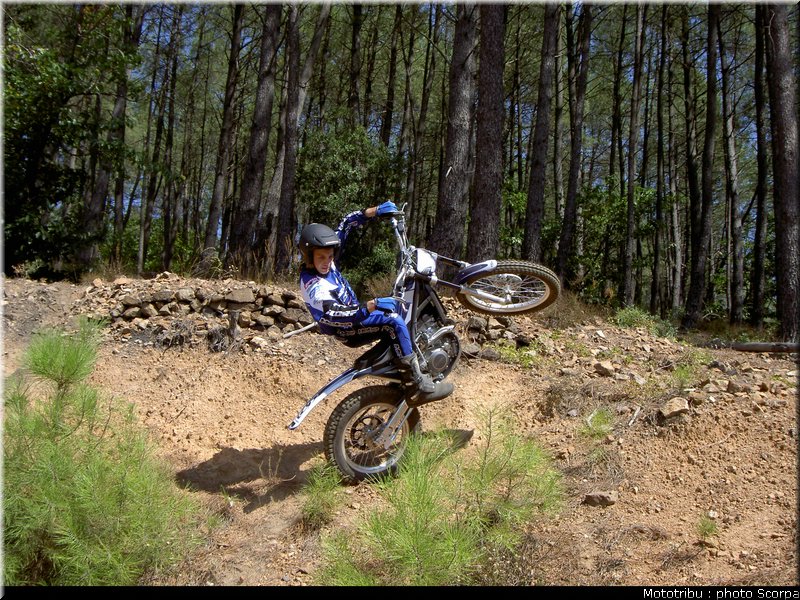 scorpa_sy250f_2008_1