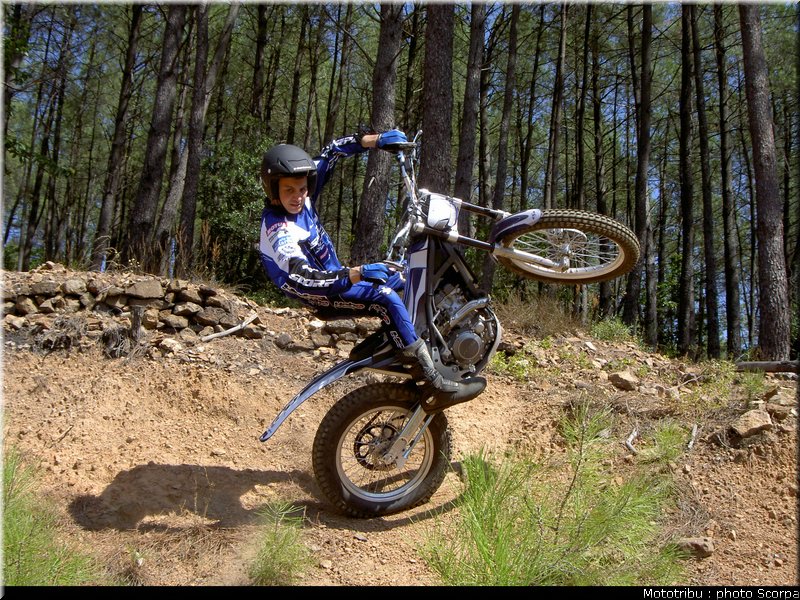 scorpa_sy250f_2008_2