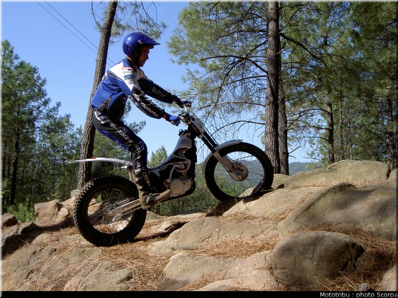 scorpa_sy250r_2008_04