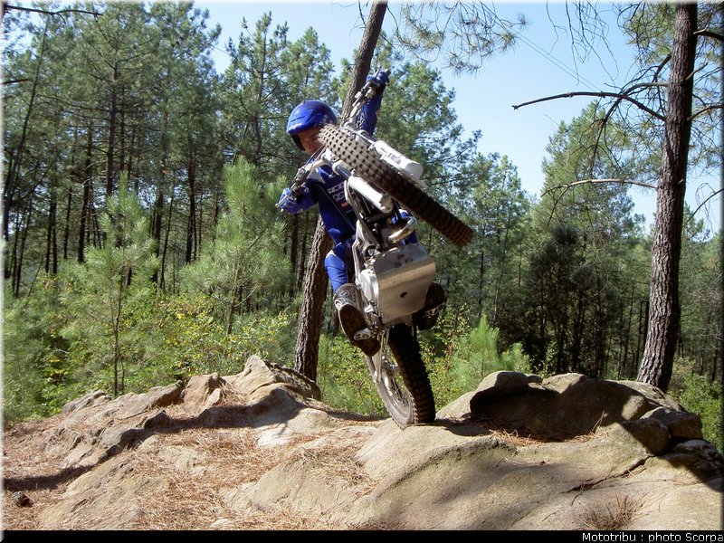 scorpa_sy250r_2008_07
