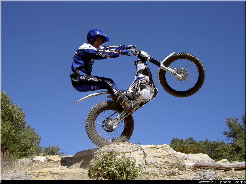 scorpa_sy250r_2008_14