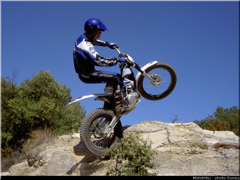 scorpa_sy250r_2008_15