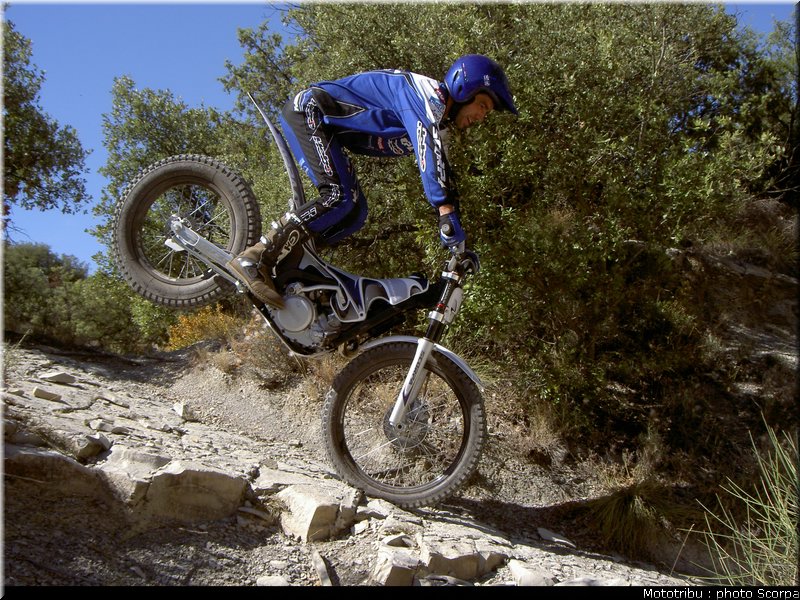 scorpa_sy250r_2008_18