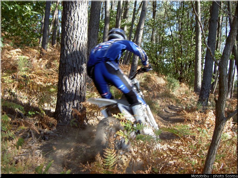 scorpa_t_ride250f_2008_1