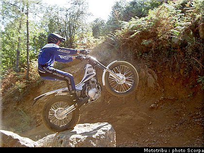 scorpa_sy125fr_2008_4.jpg