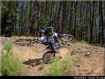 scorpa_sy250f_2008_1.jpg