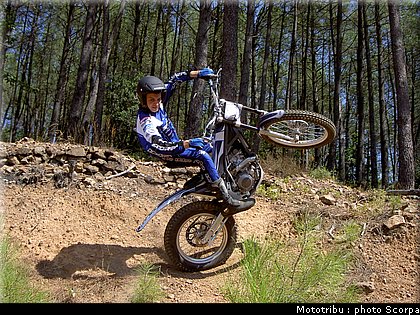 scorpa_sy250f_2008_2.jpg