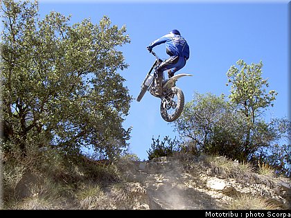 scorpa_sy250fr_2008_1.jpg