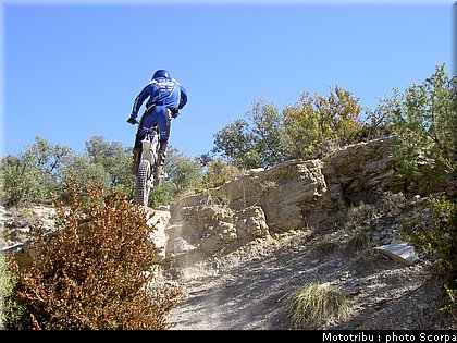 scorpa_sy250fr_2008_4.jpg