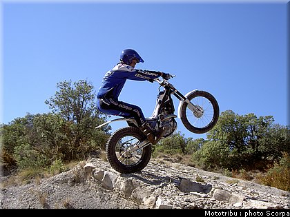 scorpa_sy250fr_2008_5.jpg