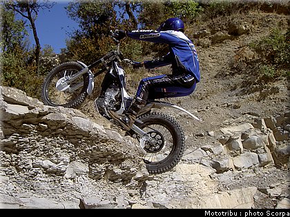 scorpa_sy250fr_2008_7.jpg