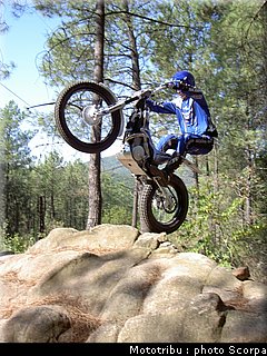 scorpa_sy250r_2008_01.jpg